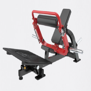 ELEVAÇÃO PELVICA - EVOLUTION FORCE R65